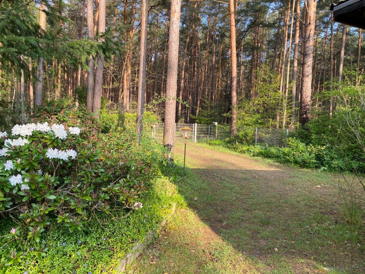 Ferienhaus Im Wald Borkwalde المظهر الخارجي الصورة