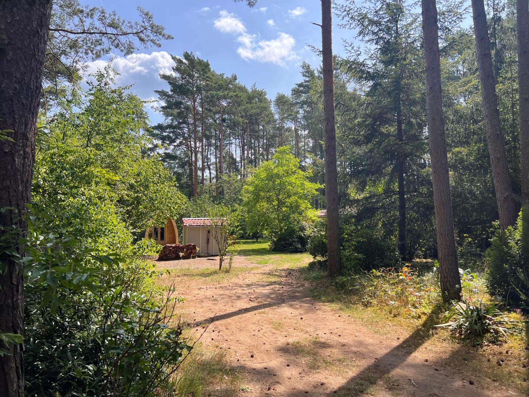 Ferienhaus Im Wald Borkwalde المظهر الخارجي الصورة