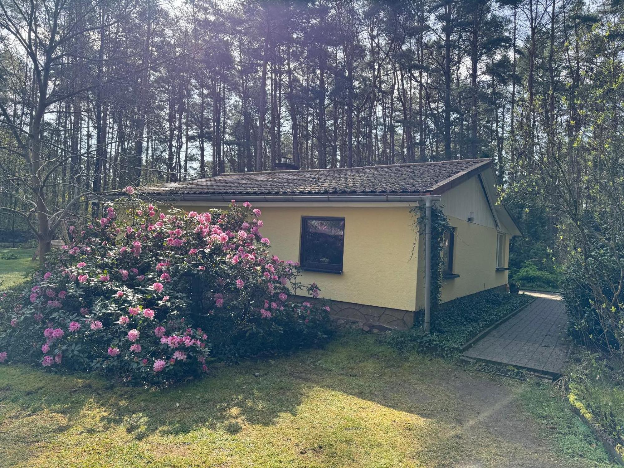 Ferienhaus Im Wald Borkwalde المظهر الخارجي الصورة