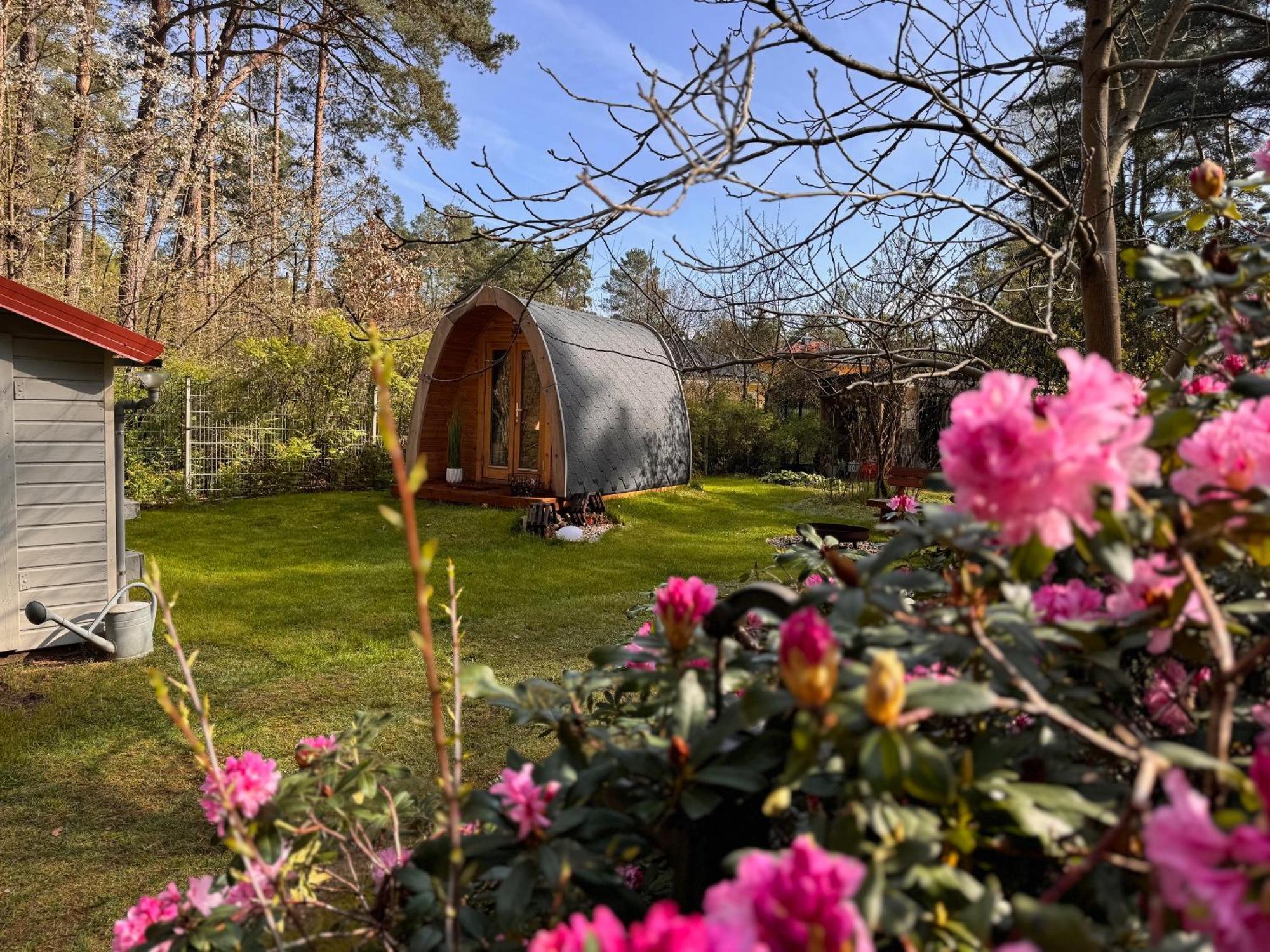 Ferienhaus Im Wald Borkwalde المظهر الخارجي الصورة