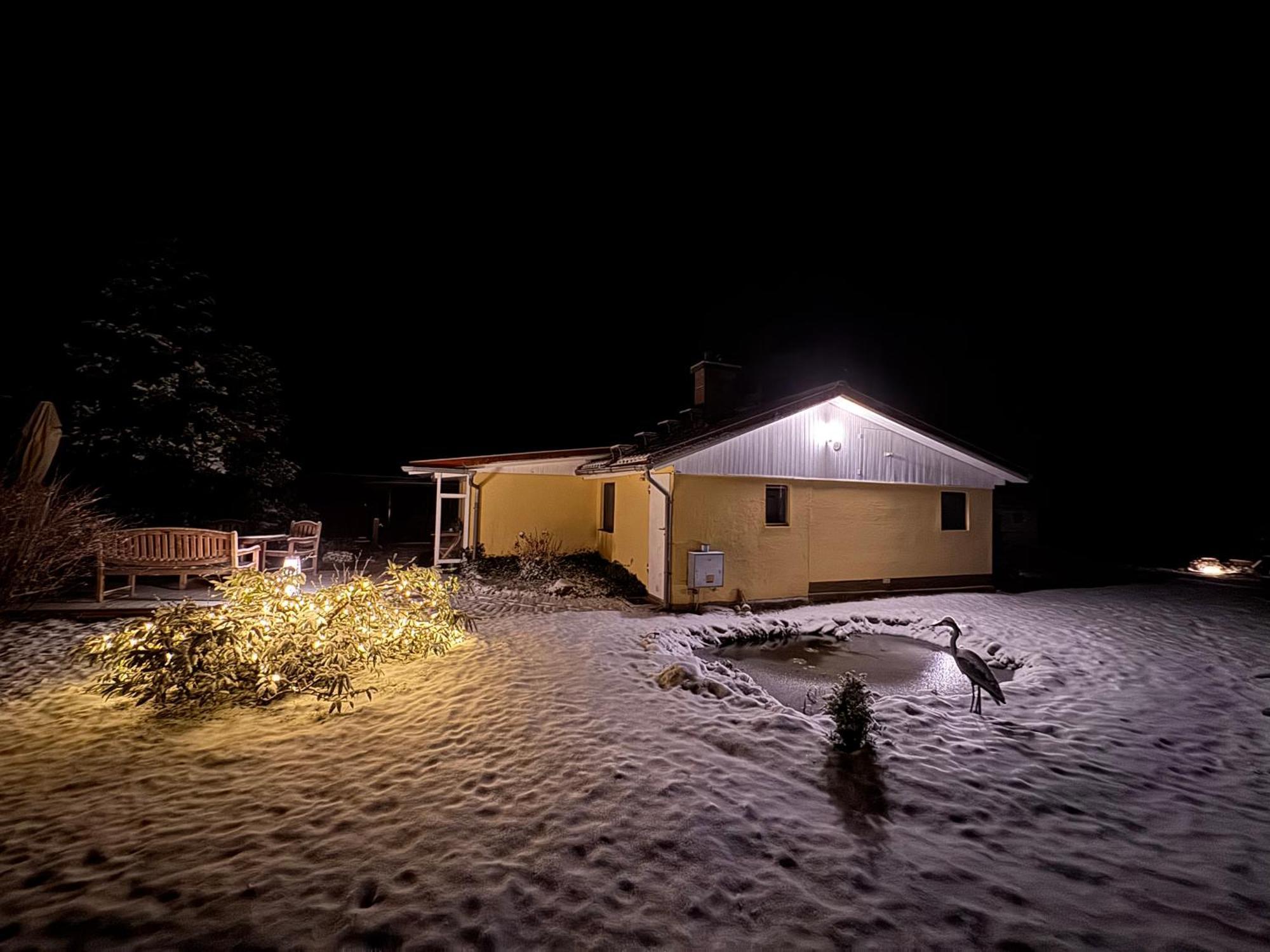 Ferienhaus Im Wald Borkwalde المظهر الخارجي الصورة